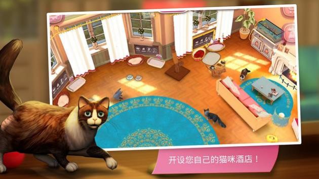 猫咪旅店 V2.1.1 安卓版