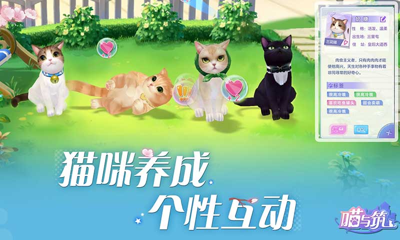 喵与筑 V1.0 破解版