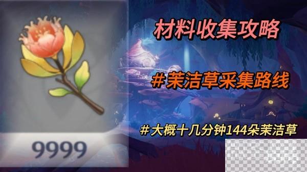 原神4.0版本茉洁草采集路线一览图1