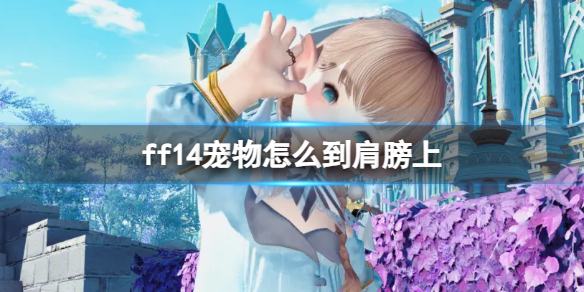 ff14宠物到肩膀上的教程图1