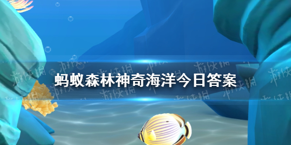 支付宝蚂蚁森林神奇海洋4月3日答案 如何通过颜色区分扇贝的正反面图1