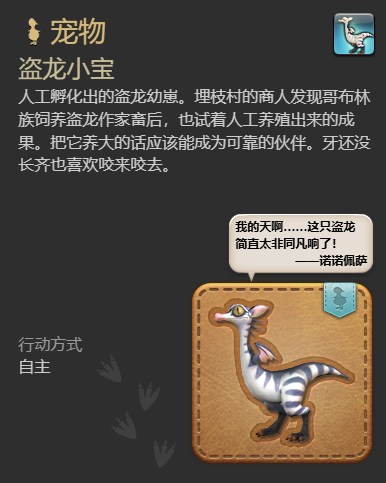 ff14盗龙小宝宠物获得方法图4