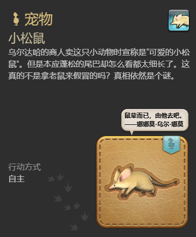 ff14小松鼠宠物获得方法图5