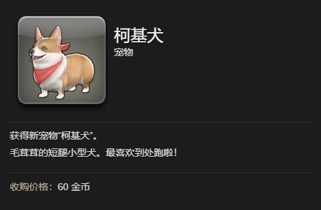 ff14柯基犬宠物获得方法图2