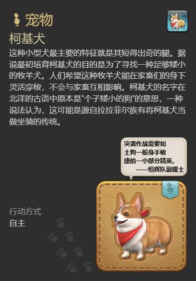 ff14柯基犬宠物获得方法图3