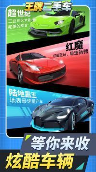 王牌二手车 V0.6.0 安卓版