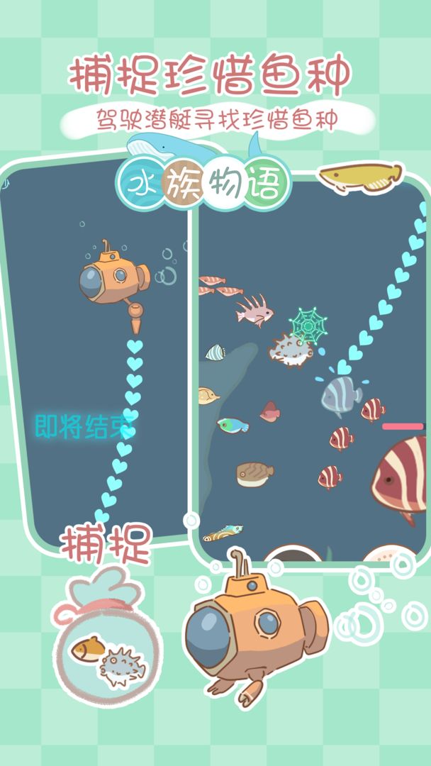 水族物语 V5.73 安卓版