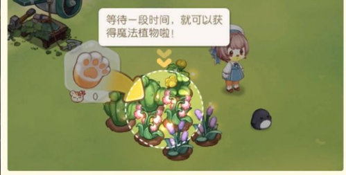 《奥比岛梦想国度》魔法植物怎么获得