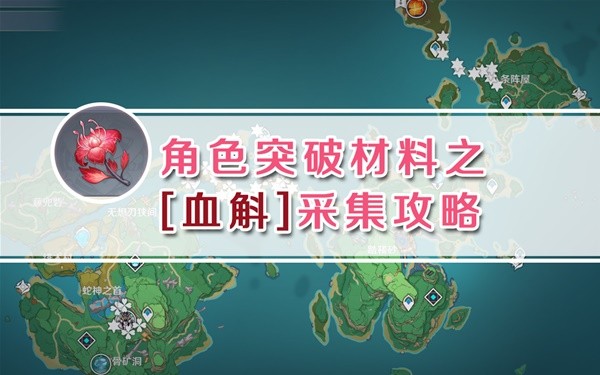 原神3.7血斛采集路线分享图1