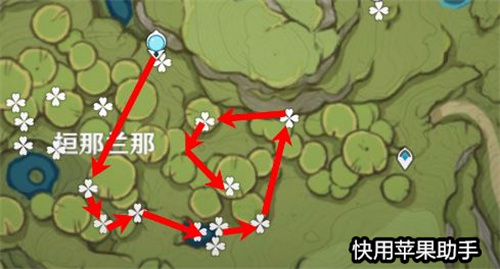 原神帕蒂沙兰采集路线图图3