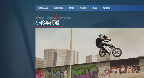 BMX Streetssteam名称图1