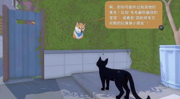 小猫咪大城市动物伙伴图鉴图2