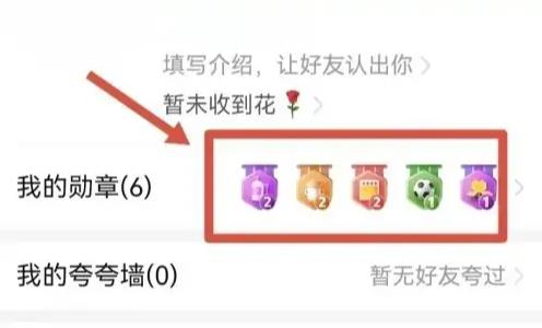 拼多多消费勋章在哪里看 拼多多消费勋章介绍图2