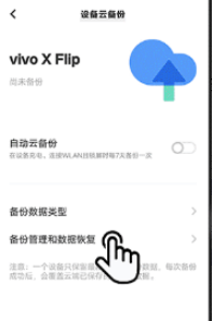 vivo云服务怎么恢复备份 vivo云服务恢复备份方法图2