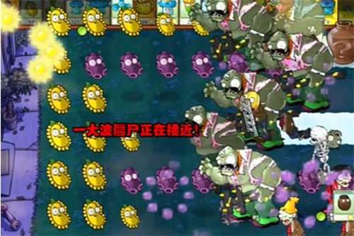 PVZ杂交版益智模式忧郁咖啡豆1要怎么过 PVZ杂交版益智模式忧郁咖啡豆1通关攻略图6