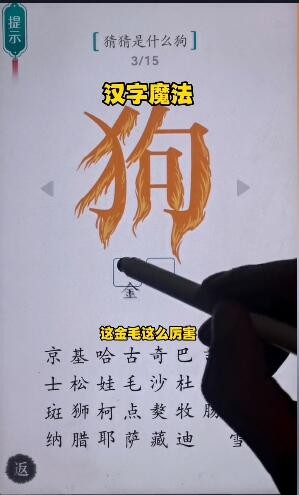 汉字魔法猜猜是什么狗怎么过 猜猜是什么狗通关攻略图3